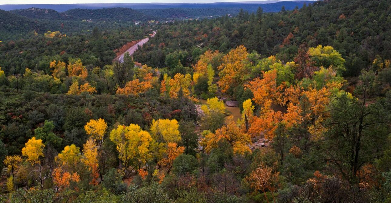 Things to Do in Payson AZ This Weekend