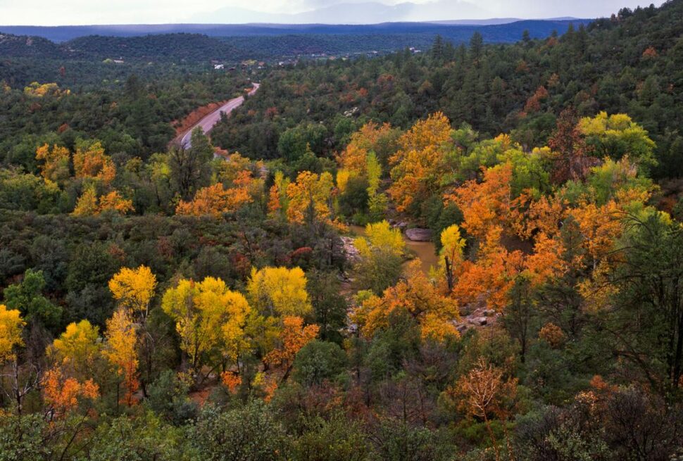 Things to Do in Payson AZ This Weekend