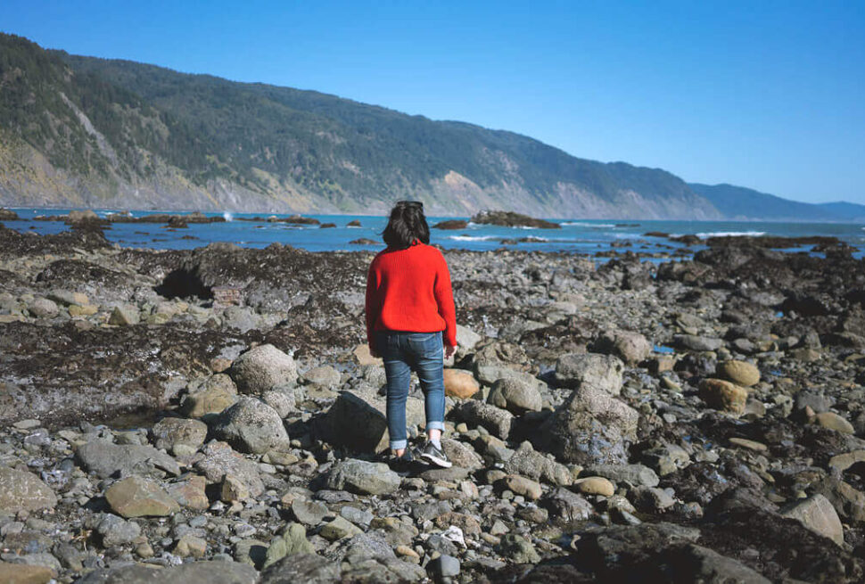 Things to Do in Shelter Cove CA