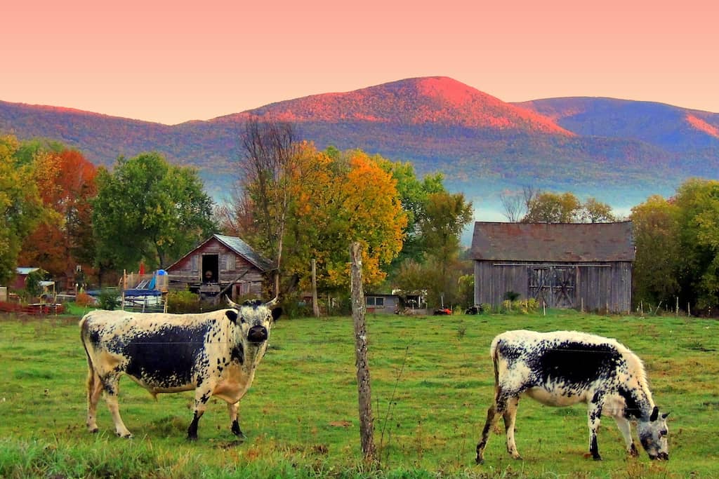 Things to Do in Southern Vermont
