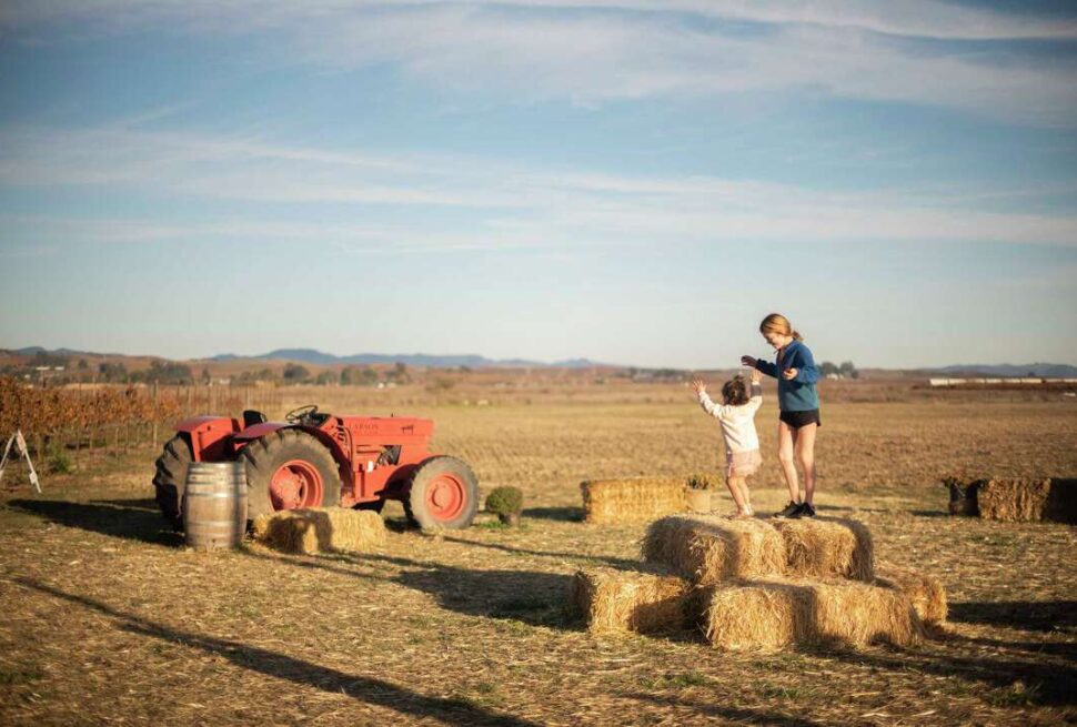 Things to Do in Napa With Kids