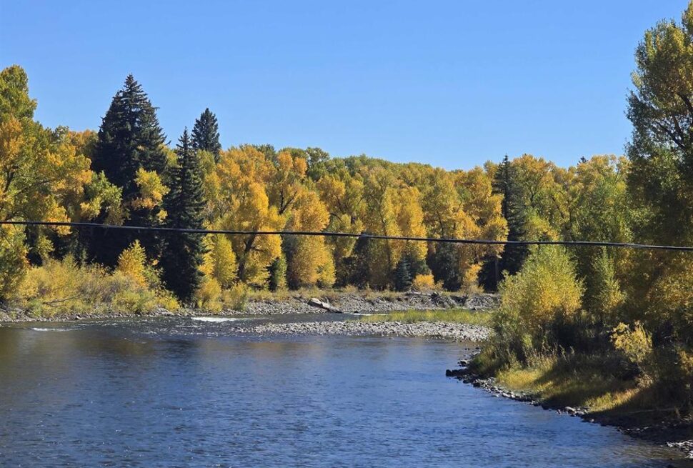 Things to Do in South Fork Colorado